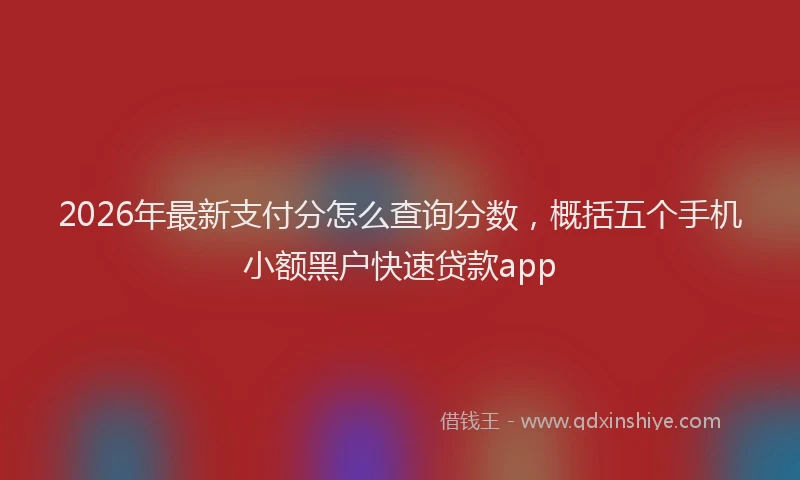 2026年最新支付分怎么查询分数，概括五个手机小额黑户快速贷款app