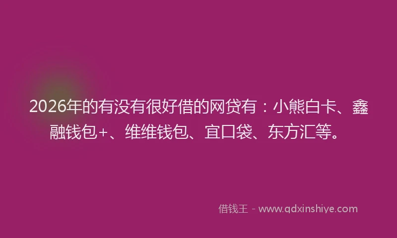 2026年的有没有很好借的网贷有：小熊白卡、鑫融钱包+、维维钱包、宜口袋、东方汇等。