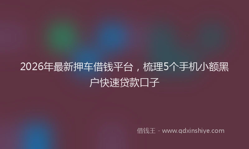 2026年最新押车借钱平台，梳理5个手机小额黑户快速贷款口子