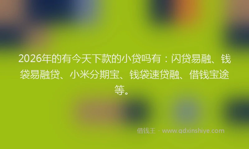 2026年的有今天下款的小贷吗有：闪贷易融、钱袋易融贷、小米分期宝、钱袋速贷融、借钱宝途等。