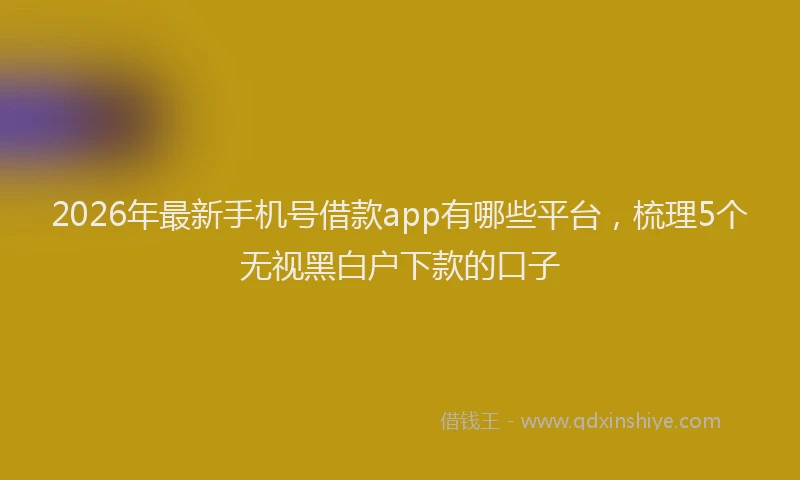 2026年最新手机号借款app有哪些平台，梳理5个无视黑白户下款的口子