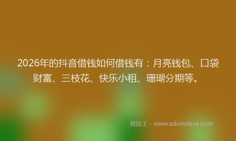 2026年的抖音借钱如何借钱有：月亮钱包、口袋财富、三枝花、快乐小租、珊瑚分期等。
