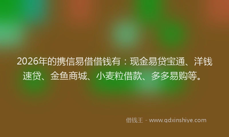 2026年的携信易借借钱有：现金易贷宝通、洋钱速贷、金鱼商城、小麦粒借款、多多易购等。