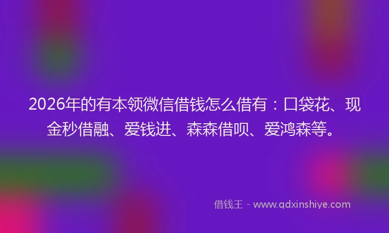 2026年的有本领微信借钱怎么借有：口袋花、现金秒借融、爱钱进、森森借呗、爱鸿森等。