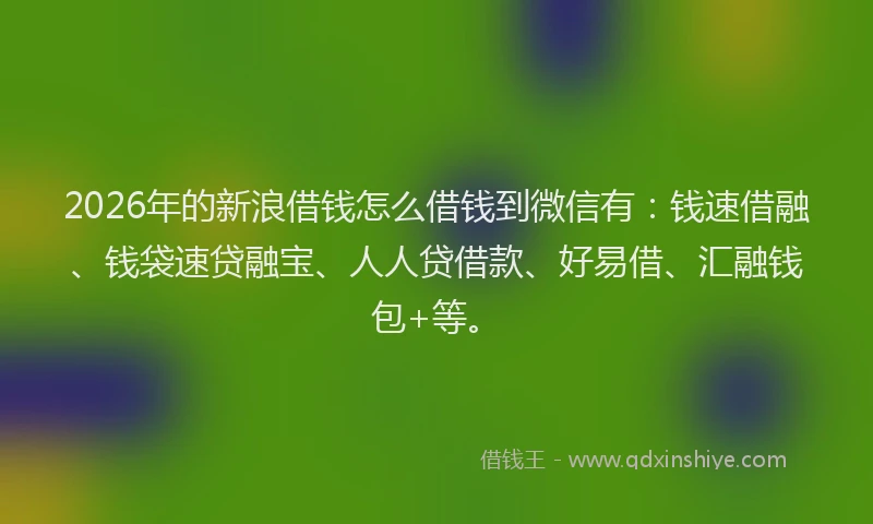 2026年的新浪借钱怎么借钱到微信有：钱速借融、钱袋速贷融宝、人人贷借款、好易借、汇融钱包+等。