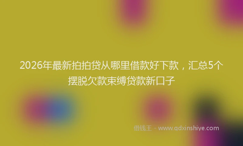 2026年最新拍拍贷从哪里借款好下款，汇总5个摆脱欠款束缚贷款新口子