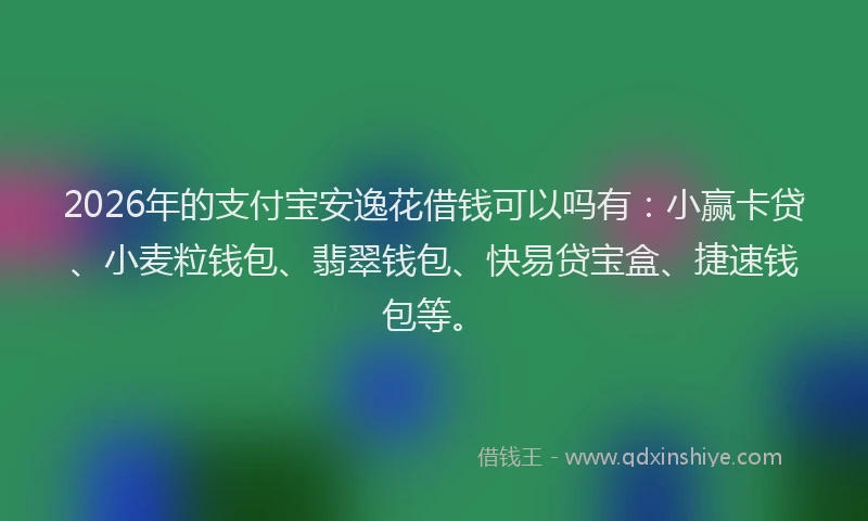 2026年的支付宝安逸花借钱可以吗有：小赢卡贷、小麦粒钱包、翡翠钱包、快易贷宝盒、捷速钱包等。