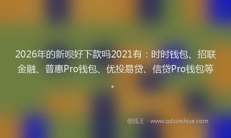 2026年的新呗好下款吗2021有：时时钱包、招联金融、普惠Pro钱包、优投易贷、信贷Pro钱包等。