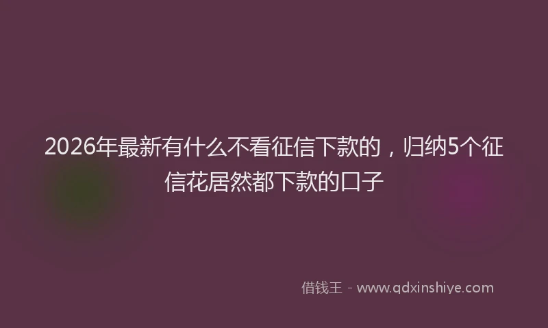 2026年最新有什么不看征信下款的，归纳5个征信花居然都下款的口子