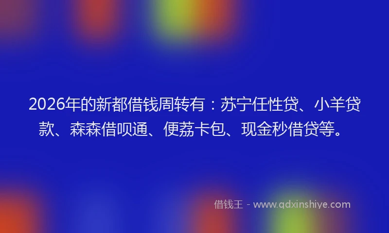 2026年的新都借钱周转有：苏宁任性贷、小羊贷款、森森借呗通、便荔卡包、现金秒借贷等。