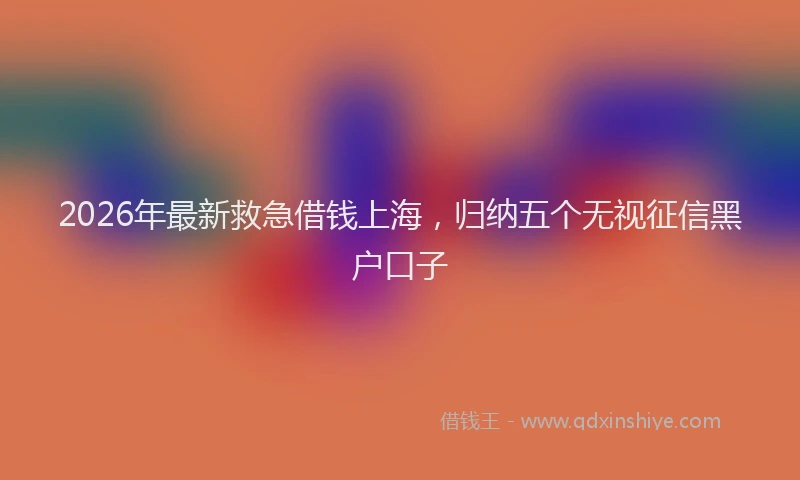 2026年最新救急借钱上海，归纳五个无视征信黑户口子