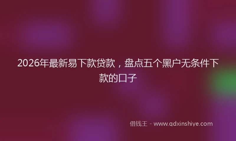 2026年最新易下款贷款，盘点五个黑户无条件下款的口子