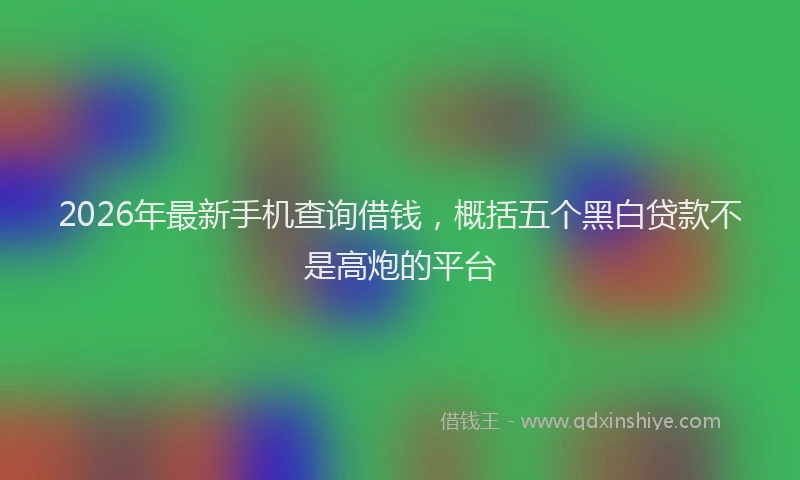 2026年最新手机查询借钱，概括五个黑白贷款不是高炮的平台