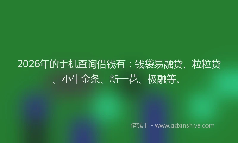 2026年的手机查询借钱有：钱袋易融贷、粒粒贷、小牛金条、新一花、极融等。