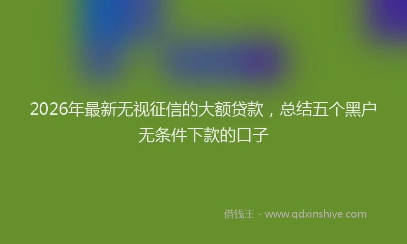 2026年最新无视征信的大额贷款，总结五个黑户无条件下款的口子