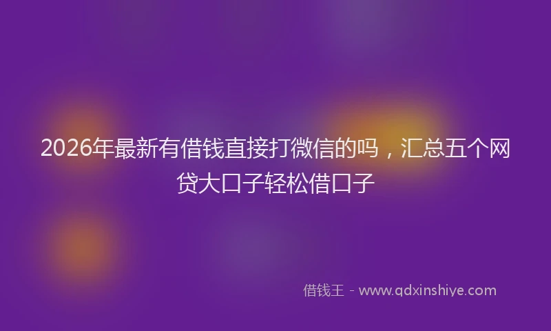 2026年最新有借钱直接打微信的吗，汇总五个网贷大口子轻松借口子