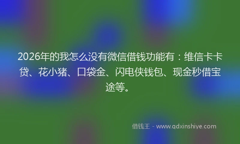 2026年的我怎么没有微信借钱功能有：维信卡卡贷、花小猪、口袋金、闪电侠钱包、现金秒借宝途等。