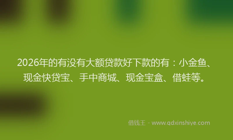 2026年的有没有大额贷款好下款的有：小金鱼、现金快贷宝、手中商城、现金宝盒、借蛙等。
