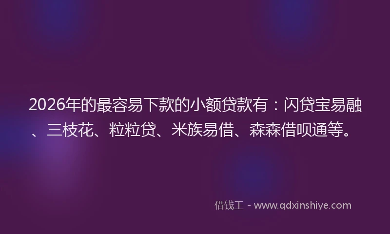 2026年的最容易下款的小额贷款有：闪贷宝易融、三枝花、粒粒贷、米族易借、森森借呗通等。