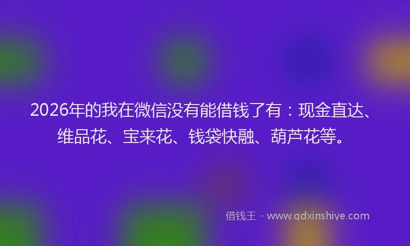 2026年的我在微信没有能借钱了有：现金直达、维品花、宝来花、钱袋快融、葫芦花等。