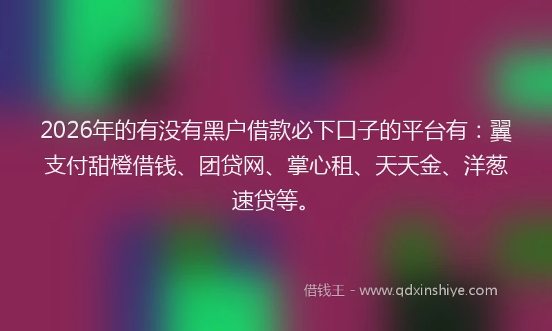 2026年的有没有黑户借款必下口子的平台有：翼支付甜橙借钱、团贷网、掌心租、天天金、洋葱速贷等。