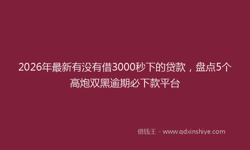 2026年最新有没有借3000秒下的贷款，盘点5个高炮双黑逾期必下款平台