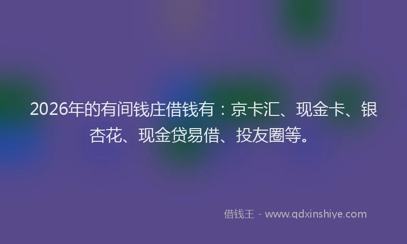 2026年的有间钱庄借钱有：京卡汇、现金卡、银杏花、现金贷易借、投友圈等。