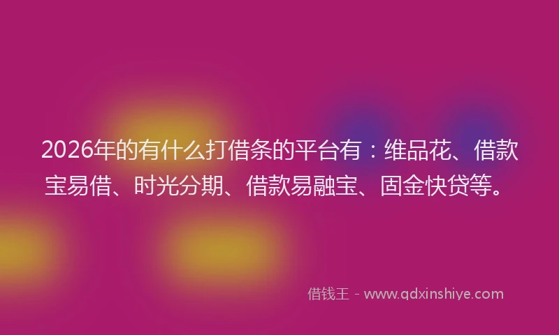 2026年的有什么打借条的平台有：维品花、借款宝易借、时光分期、借款易融宝、固金快贷等。