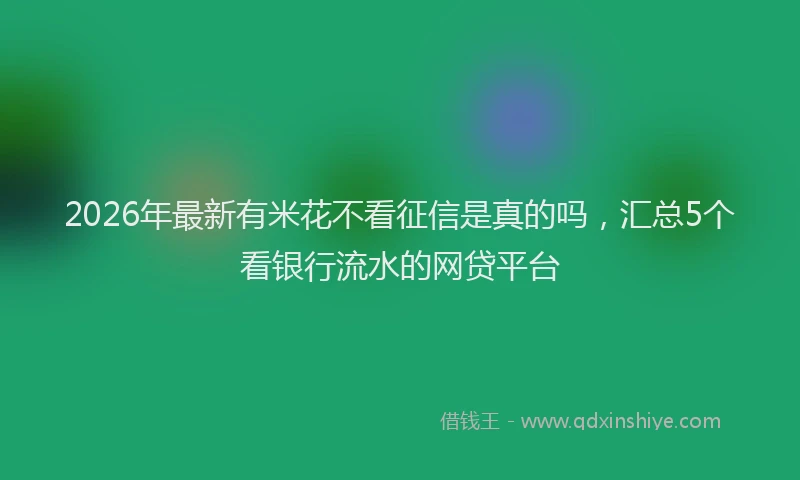 2026年最新有米花不看征信是真的吗，汇总5个看银行流水的网贷平台