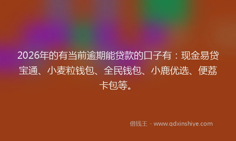 2026年的有当前逾期能贷款的口子有：现金易贷宝通、小麦粒钱包、全民钱包、小鹿优选、便荔卡包等。