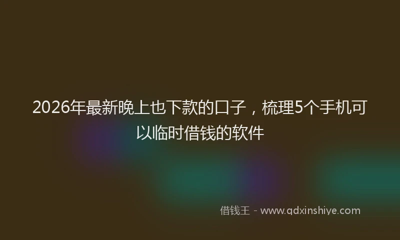 2026年最新晚上也下款的口子，梳理5个手机可以临时借钱的软件