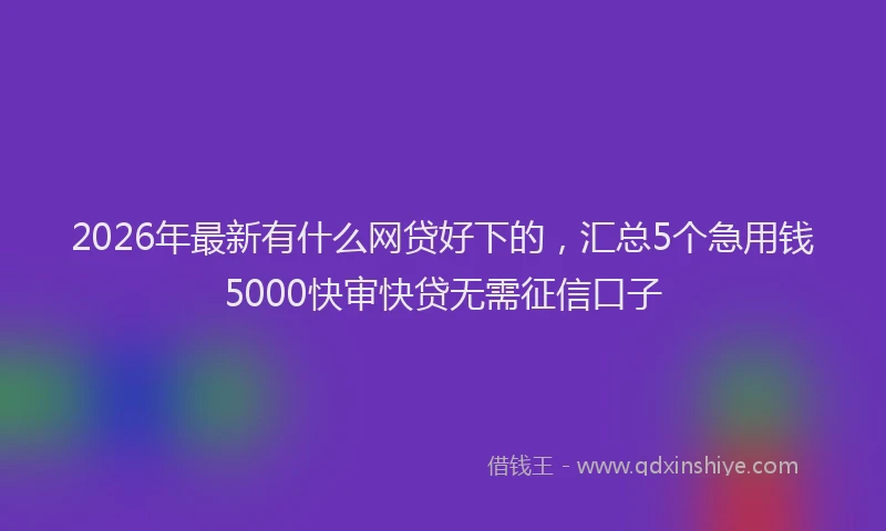 2026年最新有什么网贷好下的，汇总5个急用钱5000快审快贷无需征信口子