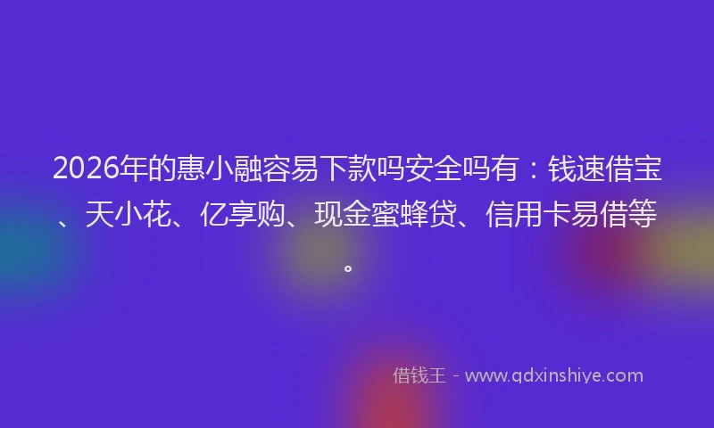 2026年的惠小融容易下款吗安全吗有：钱速借宝、天小花、亿享购、现金蜜蜂贷、信用卡易借等。