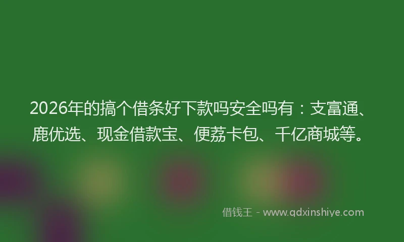 2026年的搞个借条好下款吗安全吗有：支富通、鹿优选、现金借款宝、便荔卡包、千亿商城等。