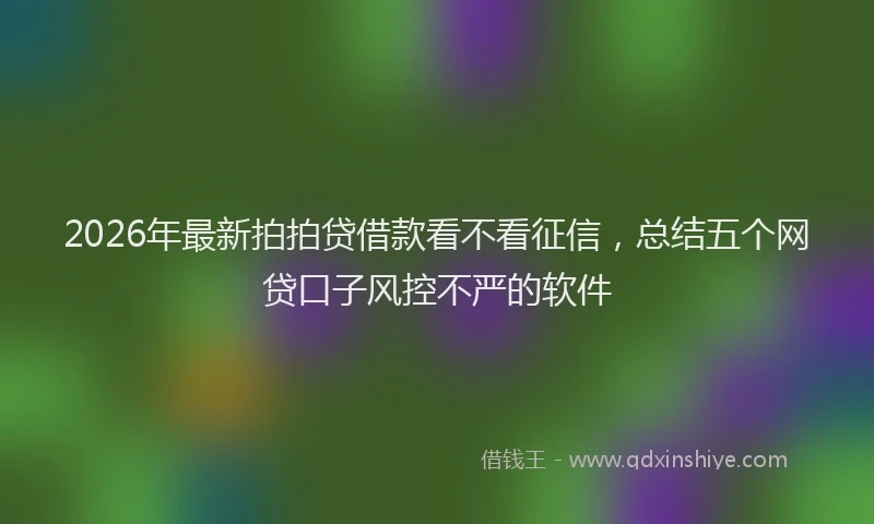 2026年最新拍拍贷借款看不看征信，总结五个网贷口子风控不严的软件