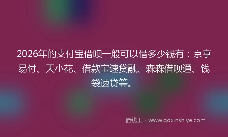 2026年的支付宝借呗一般可以借多少钱有：京享易付、天小花、借款宝速贷融、森森借呗通、钱袋速贷等。