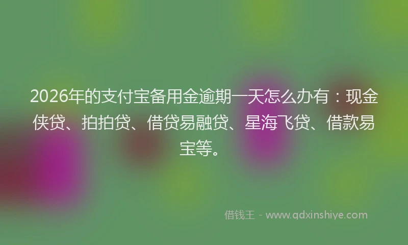 2026年的支付宝备用金逾期一天怎么办有：现金侠贷、拍拍贷、借贷易融贷、星海飞贷、借款易宝等。