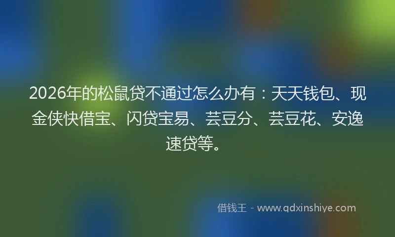 2026年的松鼠贷不通过怎么办有：天天钱包、现金侠快借宝、闪贷宝易、芸豆分、芸豆花、安逸速贷等。