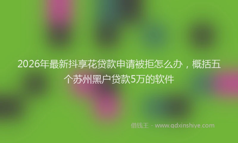 2026年最新抖享花贷款申请被拒怎么办，概括五个苏州黑户贷款5万的软件