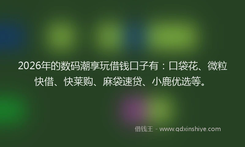 2026年的数码潮享玩借钱口子有：口袋花、微粒快借、快莱购、麻袋速贷、小鹿优选等。
