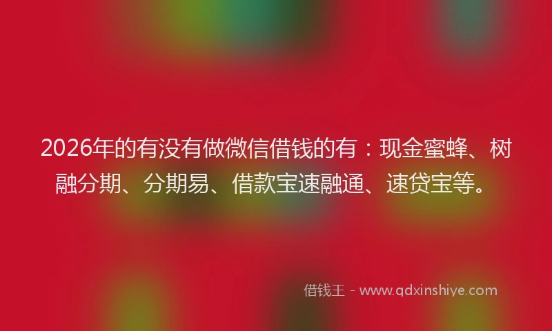 2026年的有没有做微信借钱的有：现金蜜蜂、树融分期、分期易、借款宝速融通、速贷宝等。