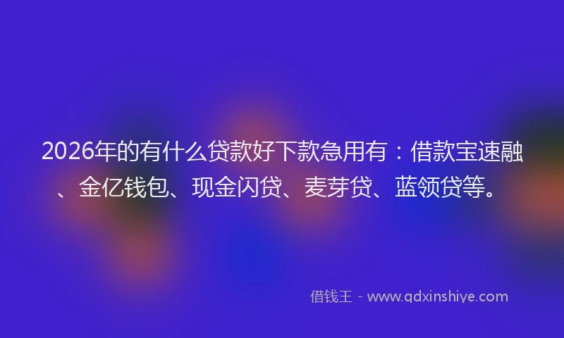 2026年的有什么贷款好下款急用有：借款宝速融、金亿钱包、现金闪贷、麦芽贷、蓝领贷等。