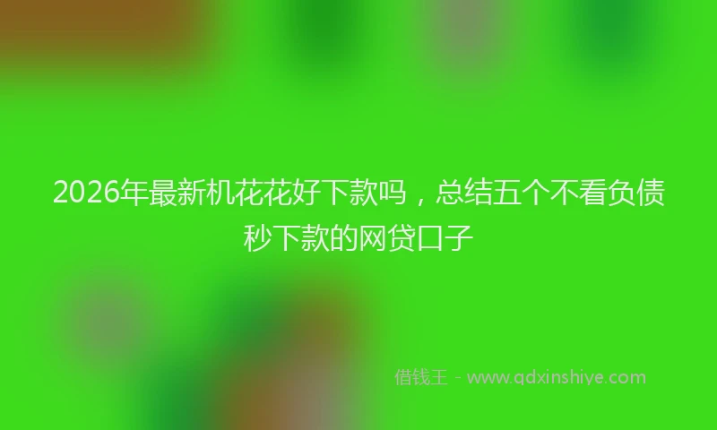 2026年最新机花花好下款吗，总结五个不看负债秒下款的网贷口子