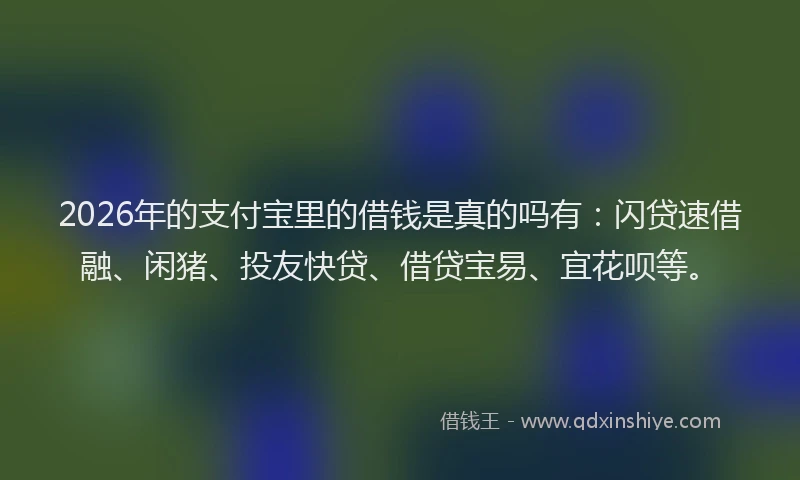 2026年的支付宝里的借钱是真的吗有：闪贷速借融、闲猪、投友快贷、借贷宝易、宜花呗等。