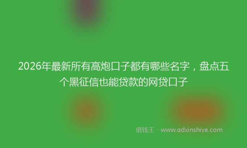 2026年最新所有高炮口子都有哪些名字，盘点五个黑征信也能贷款的网贷口子