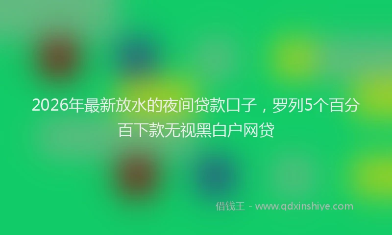 2026年最新放水的夜间贷款口子，罗列5个百分百下款无视黑白户网贷