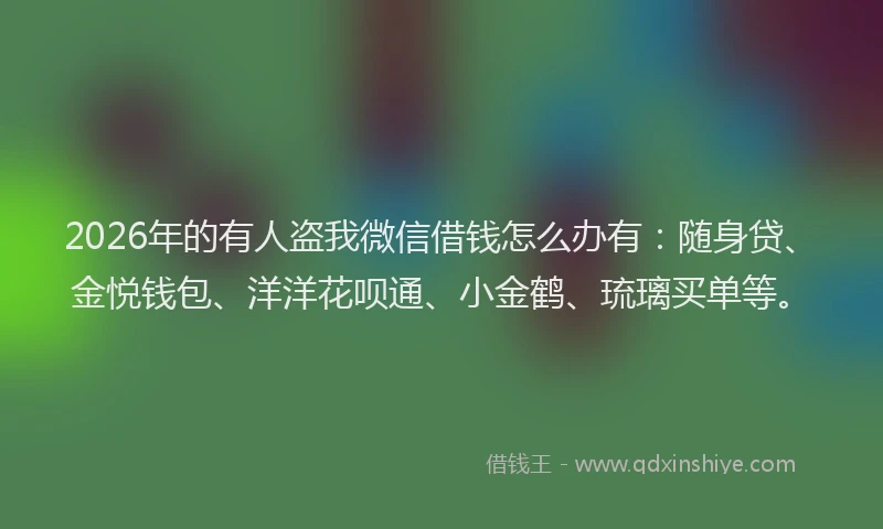 2026年的有人盗我微信借钱怎么办有：随身贷、金悦钱包、洋洋花呗通、小金鹤、琉璃买单等。