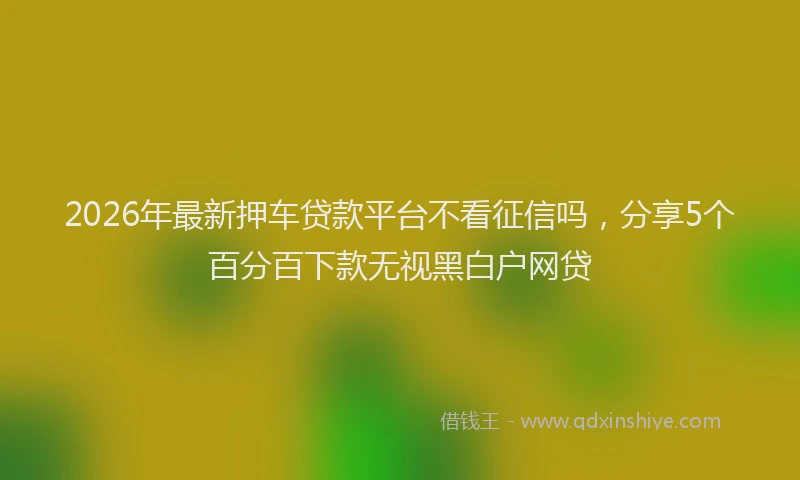 2026年最新押车贷款平台不看征信吗，分享5个百分百下款无视黑白户网贷