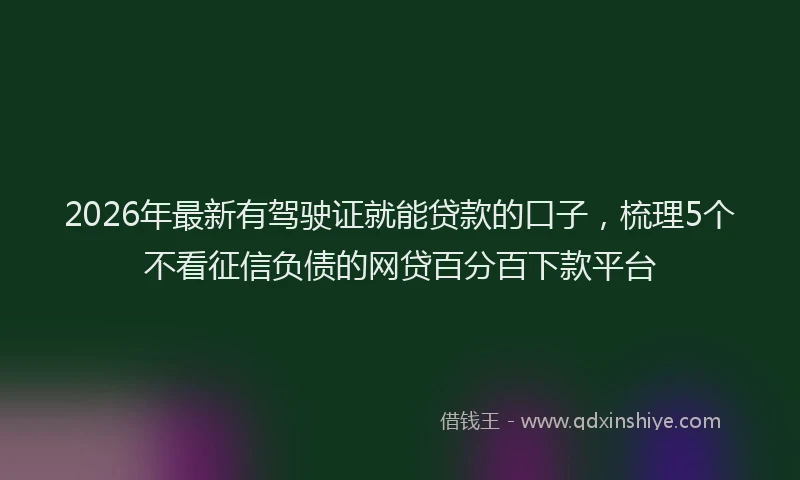 2026年最新有驾驶证就能贷款的口子，梳理5个不看征信负债的网贷百分百下款平台