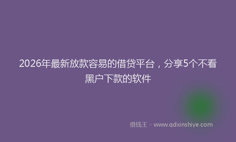 2026年最新放款容易的借贷平台，分享5个不看黑户下款的软件